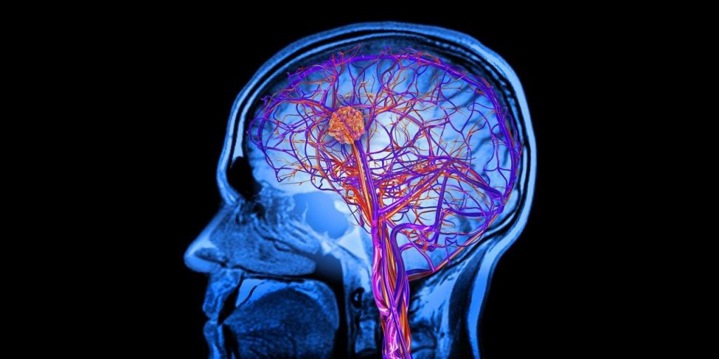 Τα μυστικά του ανθρώπινου εγκεφάλου που μάθαμε το 2018