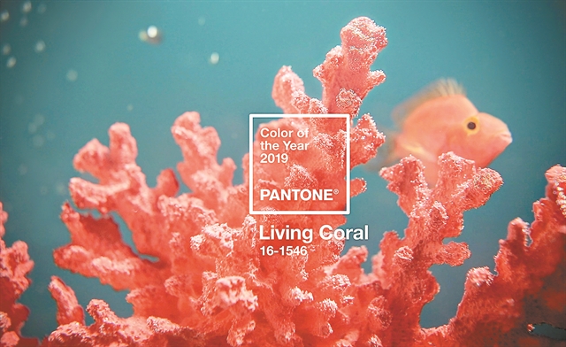 Το χρώμα του 2019 έρχεται από το κοράλλι