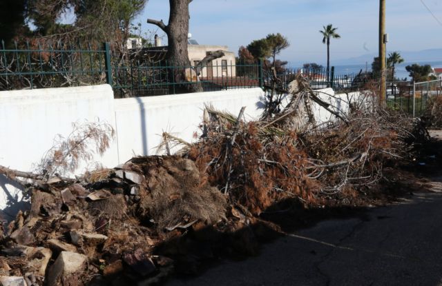 Χριστούγεννα στο Μάτι : Σφιγμένα δόντια, βουρκωμένα μάτια και αγώνας για τη ζωή