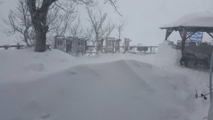 Πάρνηθα : Πυκνή χιονόπτωση – Απαραίτητες οι αλυσίδες