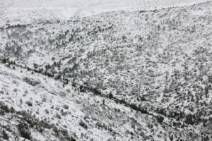 Διακοπή κυκλοφορίας στην Πάρνηθα