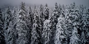 Καιρός : Που θα χιονίσει σήμερα – Τι προβλέπει ο Σ. Αρναούτογλου