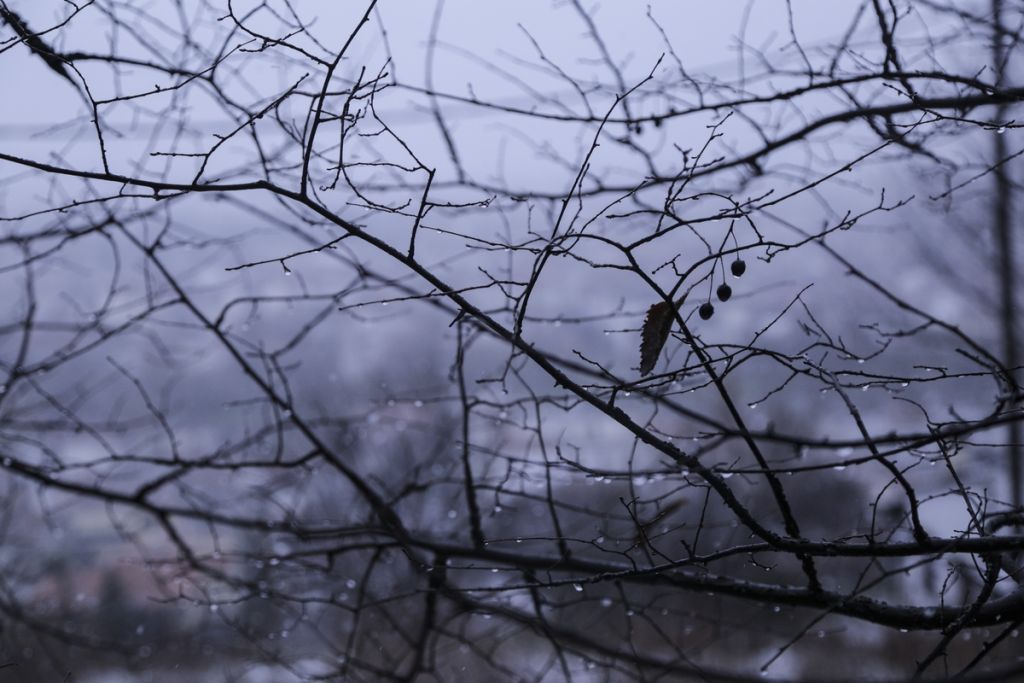 Χιόνια και στην Κρήτη – Κλειστά τα σχολεία στο Λασίθι