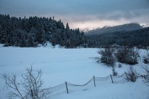 Χιονοπτώσεις στη Δυτική Μακεδονία
