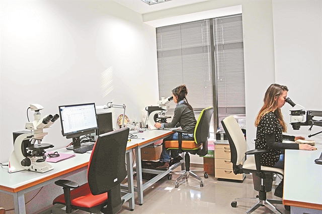 Τι έτρωγαν στην προϊστορική εποχή – Ελληνική έρευνα για τα αρχαία φαγητά