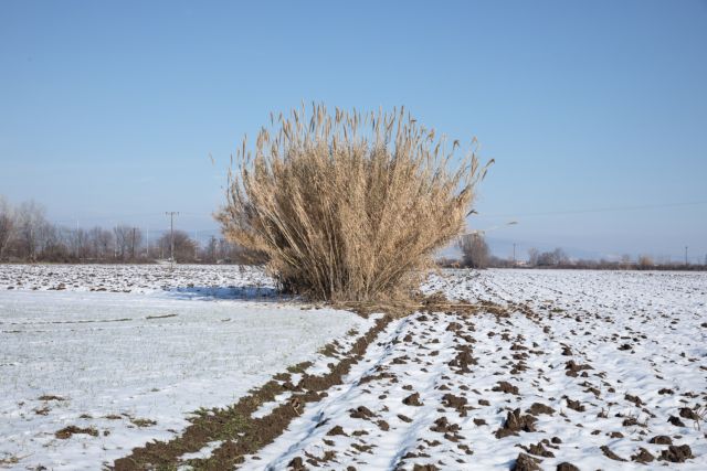 Ρουβίκωνας: Ανενόχλητοι έφυγαν οι 14 σύντροφοι – Να χαίρεστε τον «Περσέα» σας
