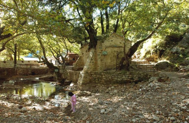 Ποια πλατάνια;