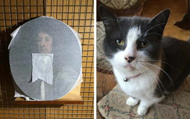 Ζημιάρα γάτα κατέστρεψε έργο τέχνης του 17ου αιώνα