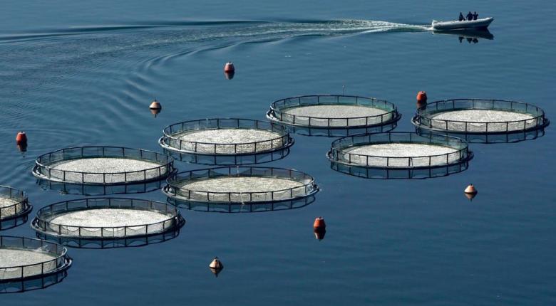 Τραγωδία στον Αστακό: Πνίγηκε υπάλληλος ιχθυοτροφείου
