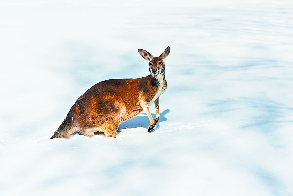 Μια διάσκεψη χωρίς εμένα