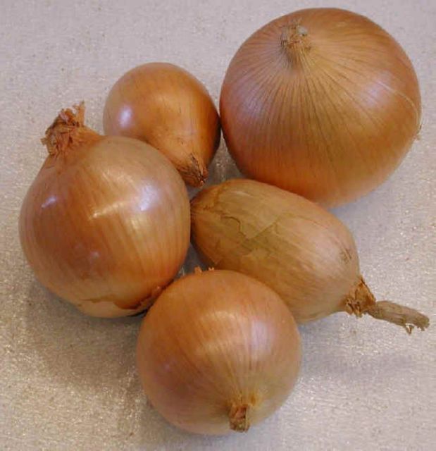 Δέσμευση 25 τόνων κρεμμυδιών σε επιχείρηση στον Ρέντη