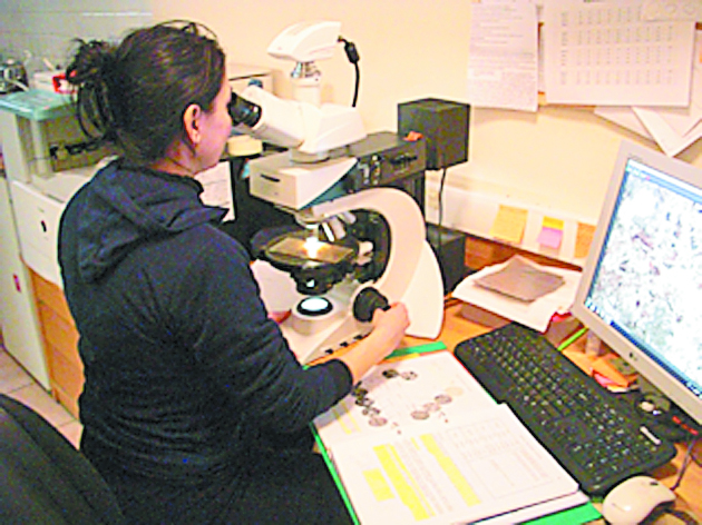 Η νεολιθική περίοδος στο μικροσκόπιο της επιστήμης