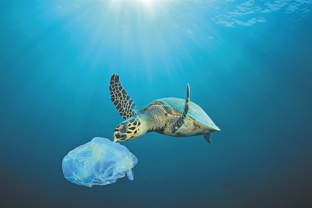 Μειώθηκαν κατά 80% οι πλαστικές σακούλες