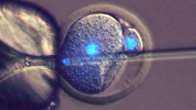 Τεχνητή γονιμοποίηση με το σπέρμα του νεκρού συζύγου της