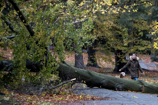 Σφοδρή κακοκαιρία στη Ρουμανία: Πτώσεις δέντρων – Διακοπή κυκλοφορίας