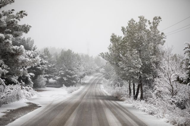 Ολονύχτια μάχη διάσωσης οκτώ ανθρώπων στον Χορτιάτη