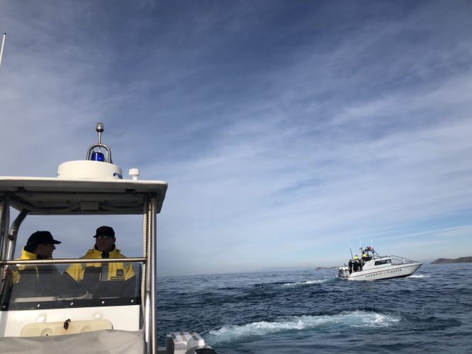 Independent : Πώς η μικροσκοπική Αλβανία μετατράπηκε στο αρχηγείο των ναρκωτικών