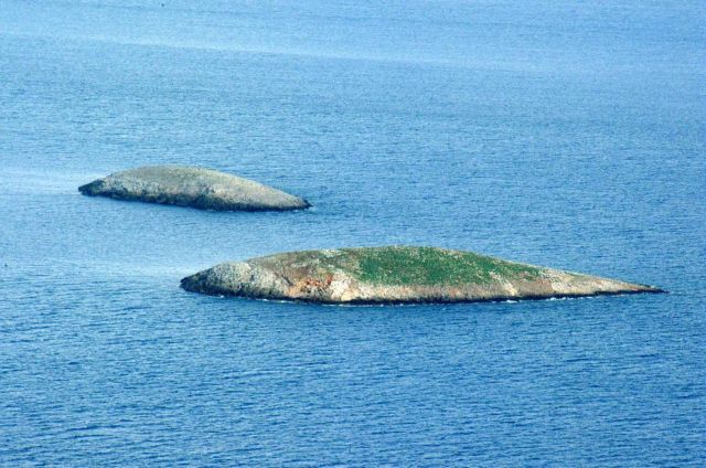 Ιμια : Προπαγάνδα της Αγκυρας τα δημοσιεύματα περί ύπαρξης τουρικών πλοίων στην περιοχή | tanea.gr