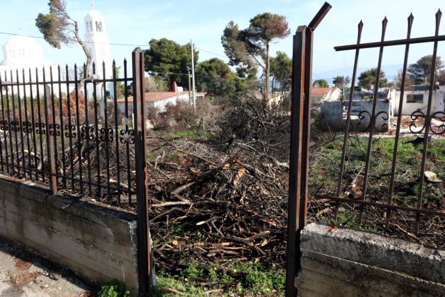 Τηλεφωνικός αριθμός για τους πληγέντες από τις πυρκαγιές της Αττικής