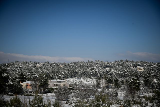 Το μονοξείδιο της φτώχειας