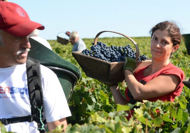 Γαλλία: Πόλος έλξης οι αμπελώνες στο Μπορντό