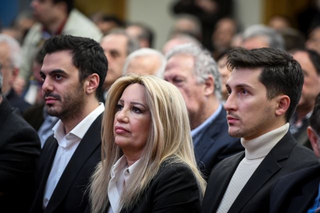 Γεννηματά στους Ευρωπαίους σοσιαλιστές: Τα νησιά μας μετατράπηκαν σε αποθήκες ψυχών