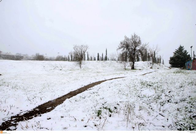 Κακοκαιρία : Απεγκλωβίστηκε τραυματισμένος 75χρονος στην Εύβοια