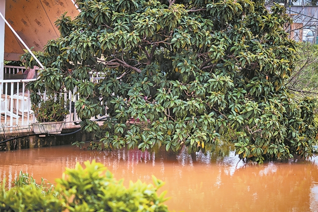 «Τρέξτε, πνιγόμαστε…»
