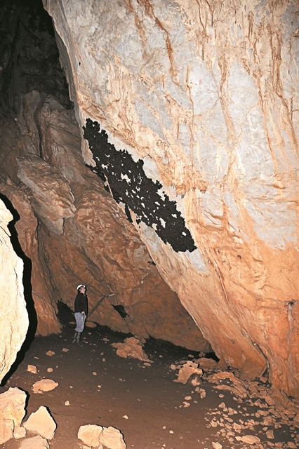 Οι νυχτερίδες… ξεχειμωνιάζουν στην Αχαΐα