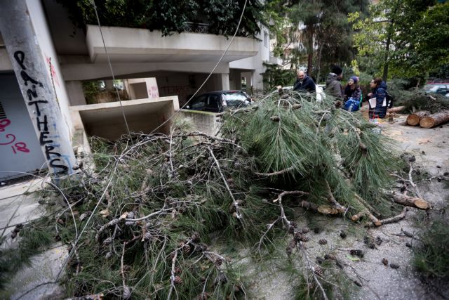 «Φωτιά» στο τηλέφωνο της Πυροσβεστικής λόγω της κακοκαιρίας