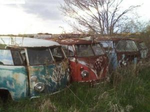 Πενήντα πέντε συλλεκτικά βαν VW Τ1 πουλάει ένας Καναδός