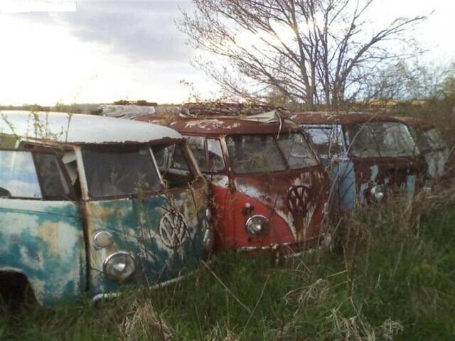 Πενήντα πέντε συλλεκτικά βαν VW Τ1 πουλάει ένας Καναδός