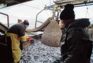 Γάλλοι ψαράδες διώχνουν τα δελφίνια από τα δίχτυα τους με ειδική συσκευή