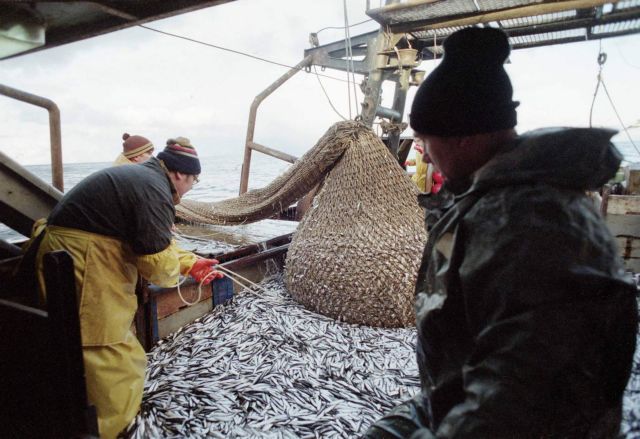 Γάλλοι ψαράδες διώχνουν τα δελφίνια από τα δίχτυα τους με ειδική συσκευή
