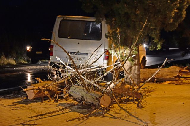 Νέα Σμύρνη: Δέντρο έπεσε και καταπλάκωσε αυτοκίνητα