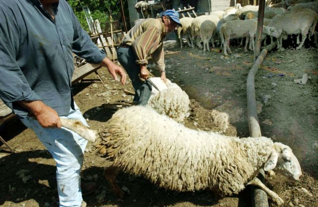 ΟΠΕΚΕΠΕ: 2,58 εκ. ευρώ για δασώσεις, βιολογική κτηνοτροφία | tanea.gr