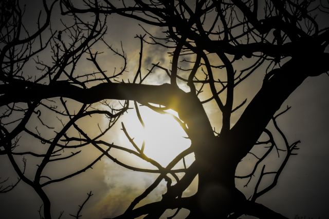 Φωτιά στο Μάτι : Ηχητικό ντοκουμέντο της αστυνομίας από την τραγωδία