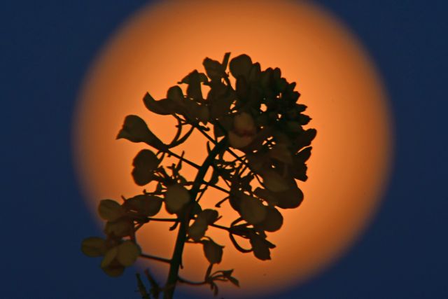 Υπερπανσέληνος : Δείτε τις εντυπωσιακές φωτογραφίες