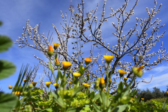 Τι καλύτερος τρόπος υπάρχει για να υποδεχθείς την άνοιξη από το να φροντίσεις το μπαλκόνι σου