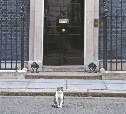 Τι κάνει νιάου νιάου στην Ντάουνινγκ Στριτ;