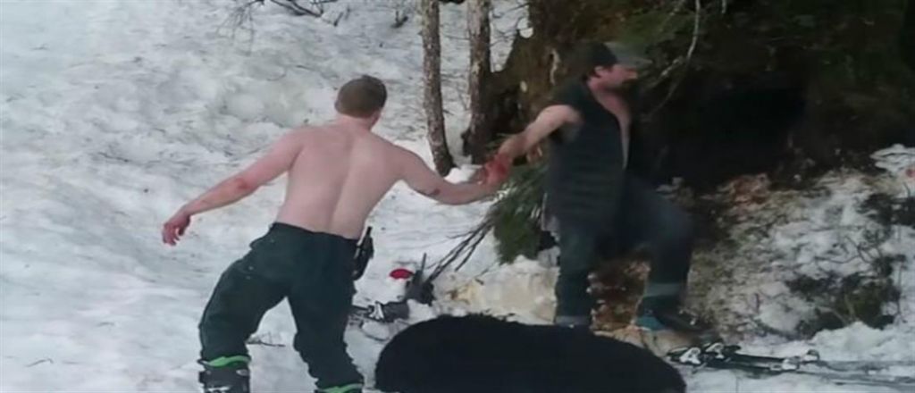 Φρίκη: Πατέρας και γιος σκοτώνουν αρκούδα με τα μικρά της – Το βίντεο της ντροπής