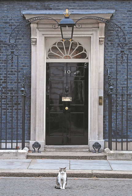 Τι κάνει νιάου νιάου στην Ντάουνινγκ Στριτ;