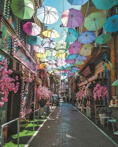 Η Πιττάκη που επιμένει