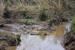 Λέκκας: Πρωτόγνωρα τα καιρικά φαινόμενα στα Χανιά