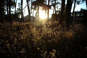 Καιρός: Μετά από 100 μέρες η θερμοκρασία ξεπέρασε του 20 βαθμούς