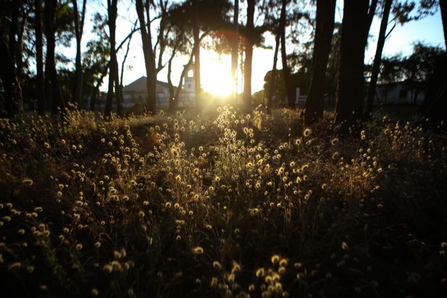 Καιρός: Μετά από 100 μέρες η θερμοκρασία ξεπέρασε του 20 βαθμούς