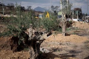 Φωτιά στο Μάτι: Ντροπή – Αρνείται το κράτος να δώσει έγγραφα στους συγγενείς των θυμάτων