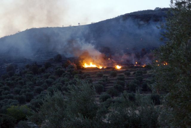 Λέσβος: Μεγάλη πυρκαγιά στο Νεοχώρι Πλωμαρίου