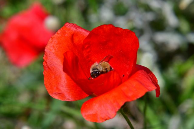 Αδράξτε την ημέρα με τη φόρα Ήλιου – Ουρανού στον Ταύρο