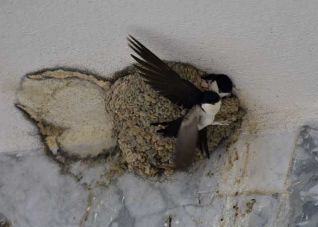 Τι φέρνει και σε ποιούς η Πανσέληνος του Απριλίου